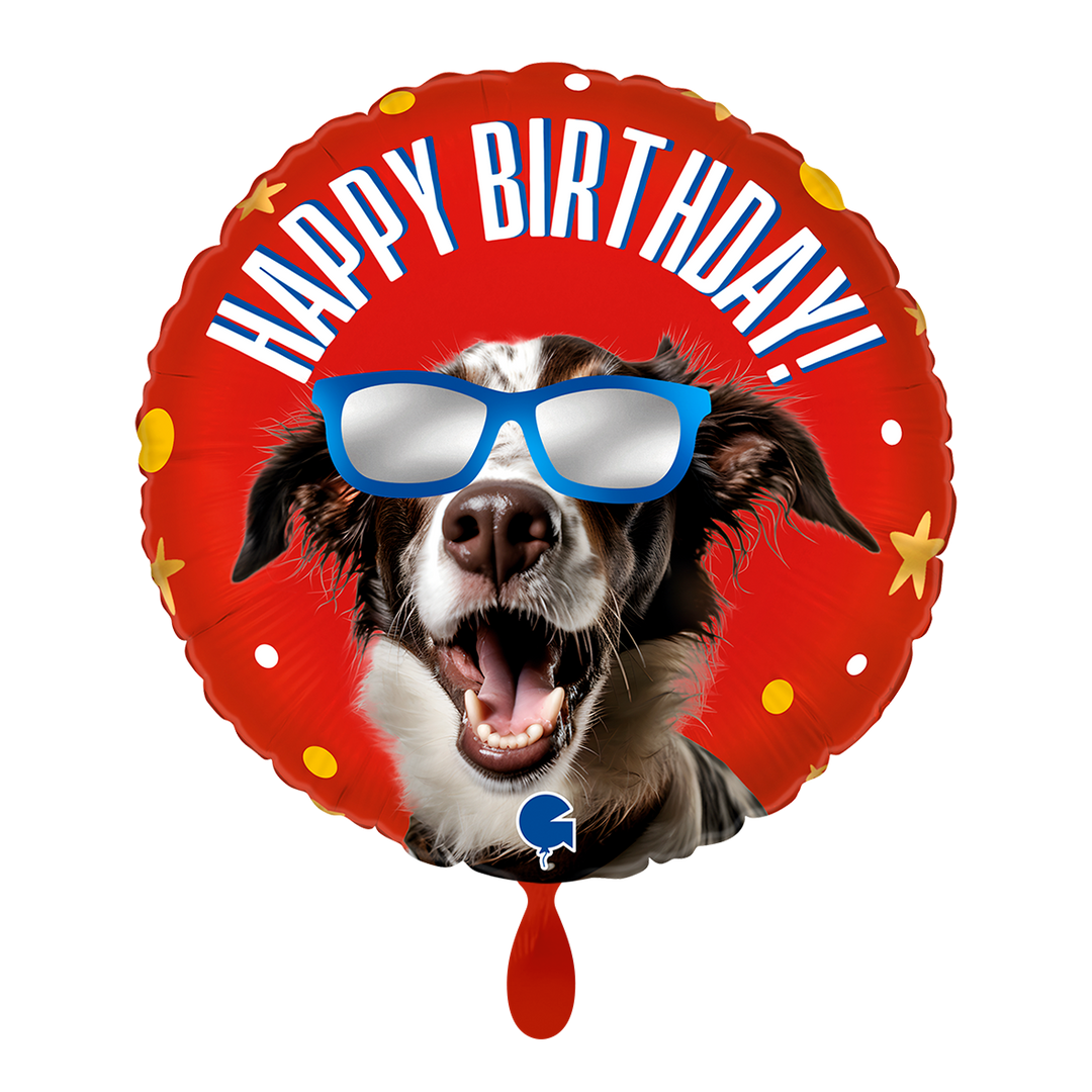 Runder roter Folienballon mit Hund, blauer Sonnenbrille und „Happy Birthday“-Schriftzug.