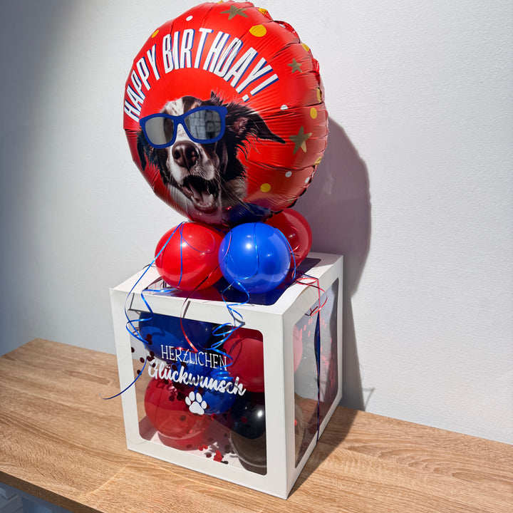 Geldgeschenk Geburtstag für Hundeliebhaber – Ballonbox Hund