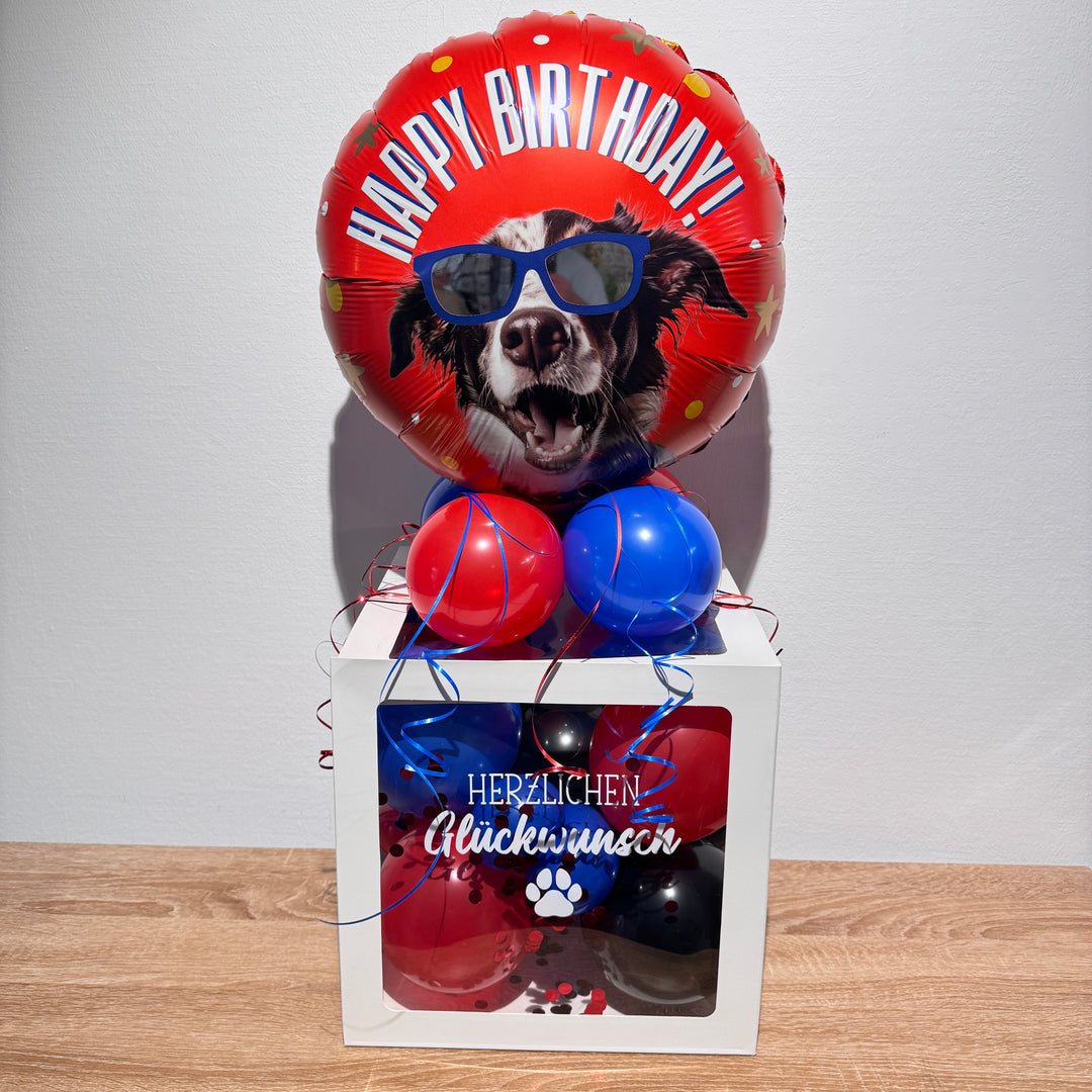 DIY Ballonbox Geburtstag mit Happy Birthday Hundeballon als Geschenk für Hundeliebhaber und Hundefans