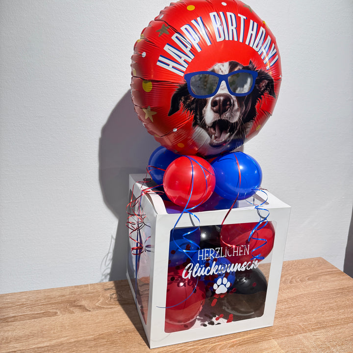 Geburtstagsgeschenk für Hundeliebhaber als DIY Ballonbox mit großem Happy Birthday Hundemotiv