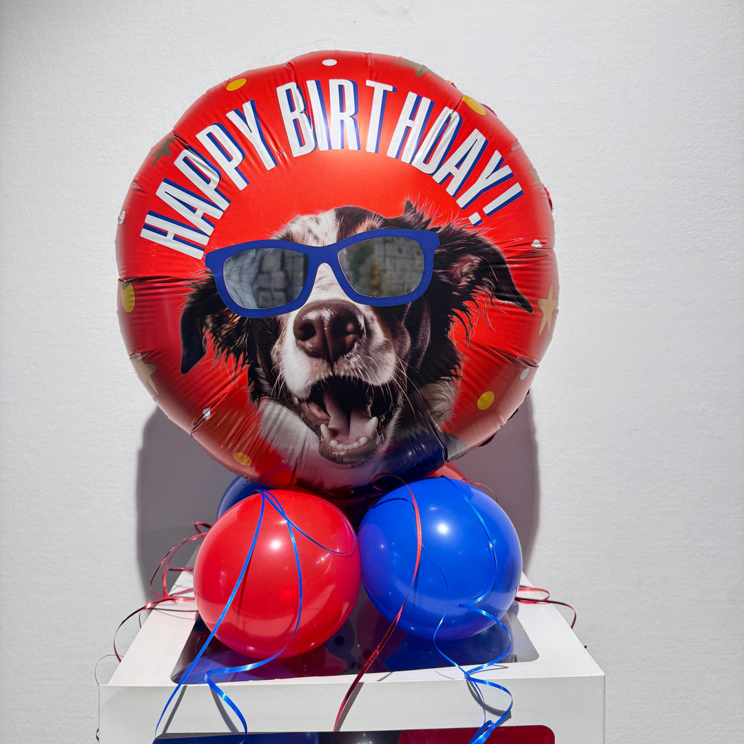 Geschenk für Hundefan zum Geburtstag mit dekorativer Ballonbox und Folienballon mit Hund