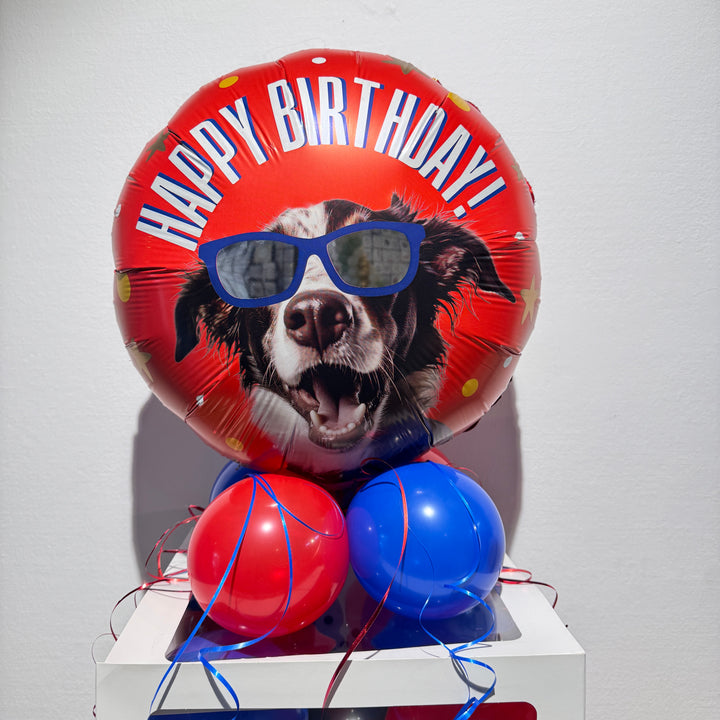 Geschenk für Hundefan zum Geburtstag mit dekorativer Ballonbox und Folienballon mit Hund