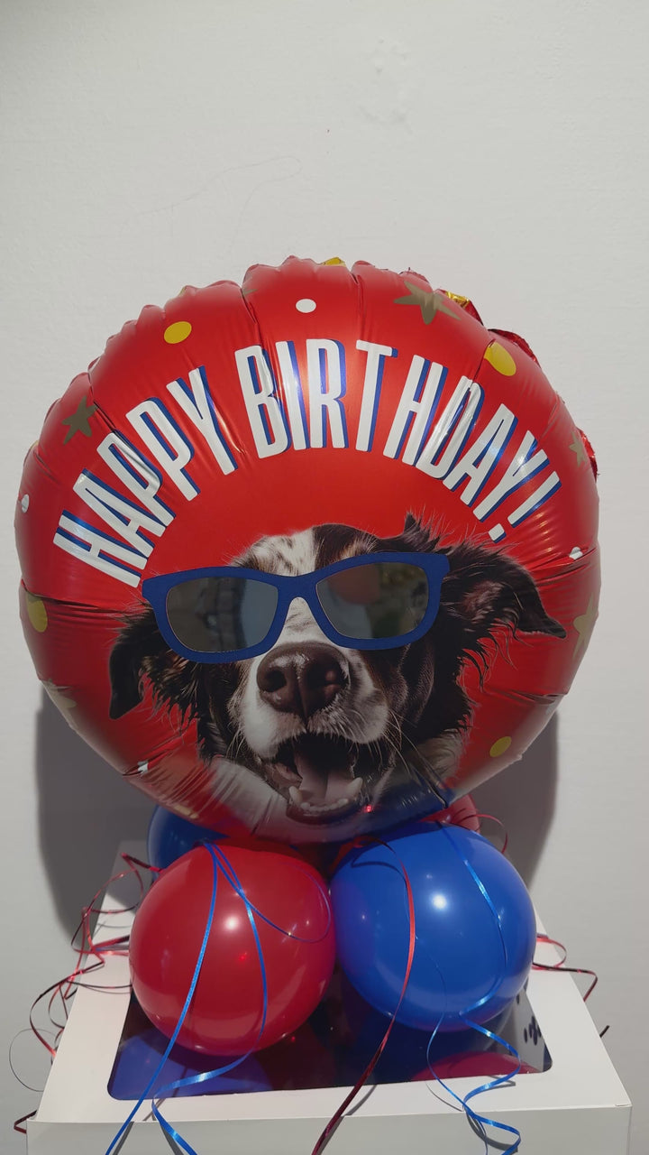 Geldgeschenk Geburtstag für Hundeliebhaber – Ballonbox Hund